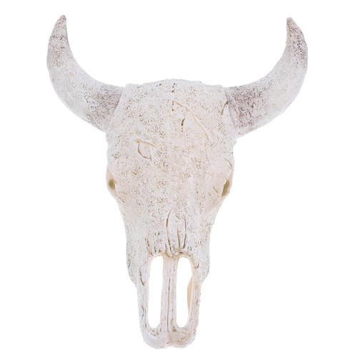 Bull head skull wall - skull,