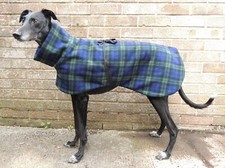 Greyhound lurcher whippet - /,