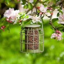 Hanging Peanut Bird Feeder