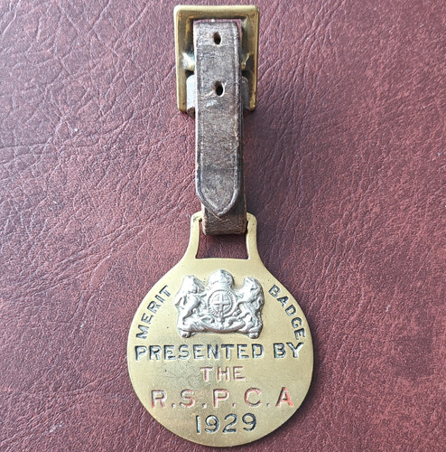 Rspca merit badge 1929 - badge,