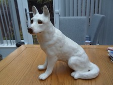 Winstanley White German Shepherd size 6