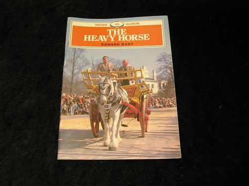 The heavy horse - heavy,