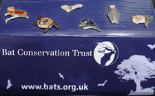 BCT UK Bat Pin Badges set of 6