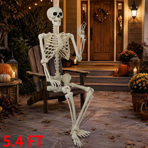 4ft halloween skeleton full - skeleton,