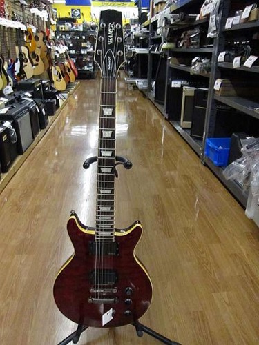 Hamer series sunburst t - series,