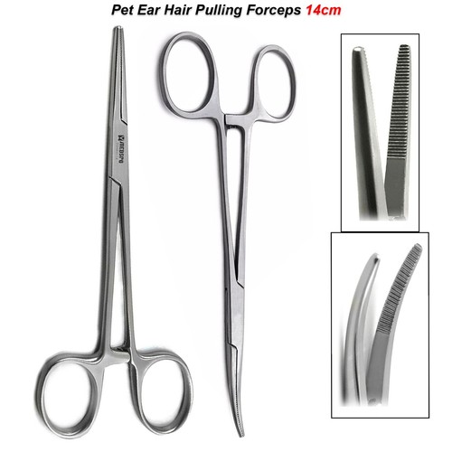 Small animal care pet grooming - care,