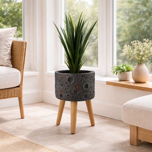 Cement plant pot planter - plant,