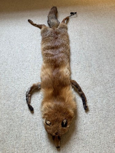 Vintage red fox - red, stole
