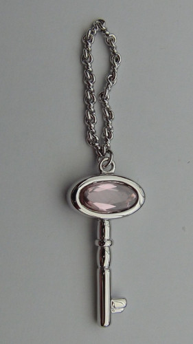Pierre lang chrome key shaped - pierre,