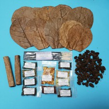 Food Lot #3 (Shrimp Lollies