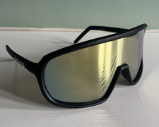 Carnac Para cycling glasses