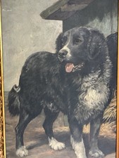 Antique / Vintage Oil Portrait Painting Of A Dog / ? Collie