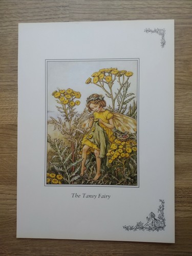 Cicely mary barker - barker, /