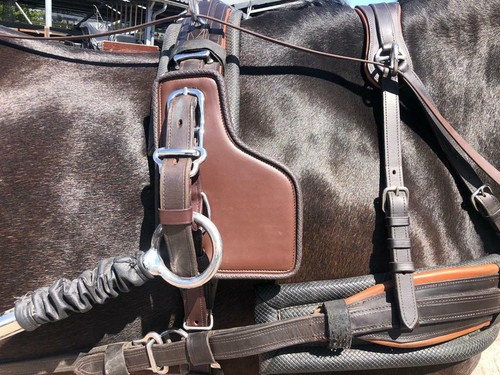 Ideal driving harness shaft - harness,