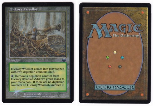 Mtg hickory woodlot - mtg,