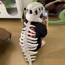 Silly Dino, Dinosaur Skeleton