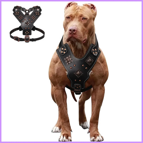 Genuine leather dog - dog, harness