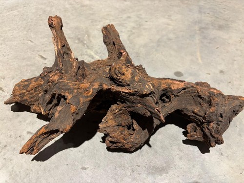 Large ancient root wood - large,