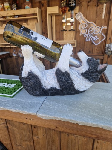 Collie dog drunken wine - drunken,