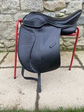 BNWT Enlightened Equitation
