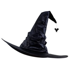HALLOWEEN WITCH WIZARD HAT FANCY DRESS COSTUME ACCESSORY BOOK FILM CHARACTER