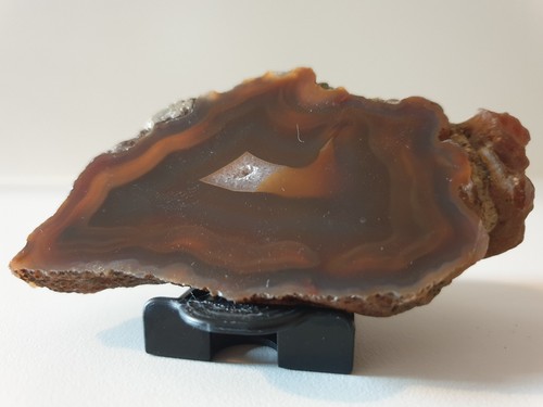 Condor agate half nodule - condor,