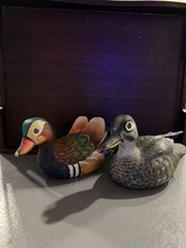 Mandarin  Ducks pair