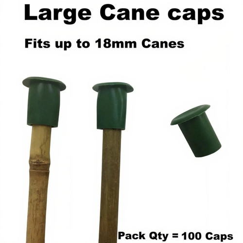 Large garden cane - large, caps