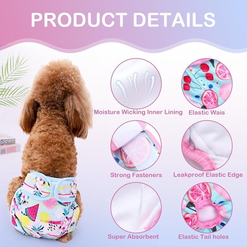 Female dog cat - female, dog/cat