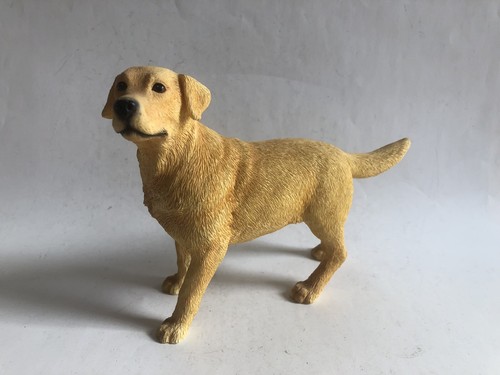 Leonardo golden labrador - golden,