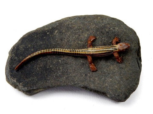 Basking rock vivarium - rock,