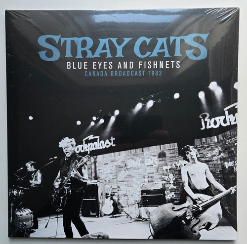 Stray cats blue eyes - stray,