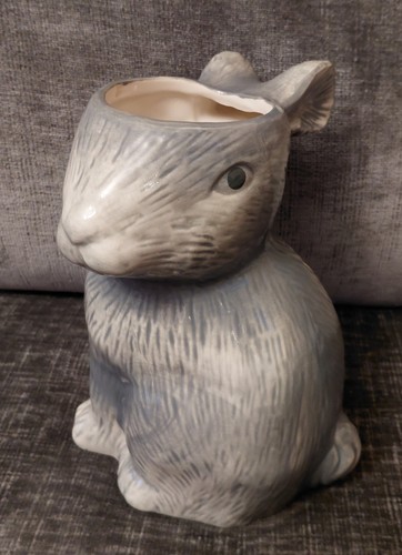 Unused next set rabbit - rabbit, /