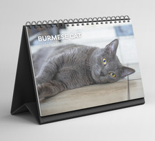 Burmese Cat Desk Calendar 2026-2027: Standing Flip Desktop Calendar