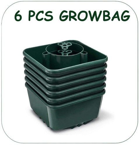 Tomato vegetable grow - ,
