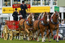 Photo 6x4 The South of England