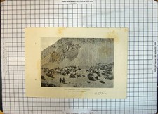 Old Print Meat Industry Convoy Muletiers Pied Cordillere Horses Mountains