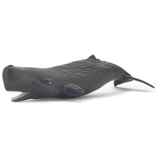 PAPO Sperm Whale Calf Figure