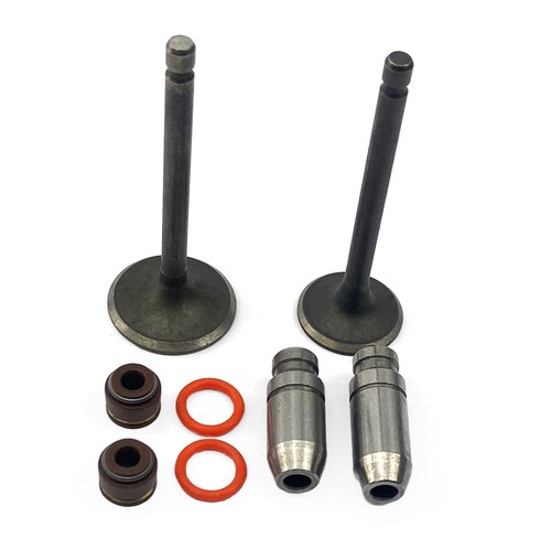 Engine valves guide kit - engine,