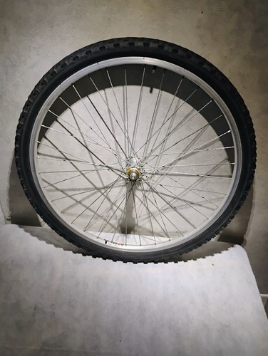 Alex rims front - alex,