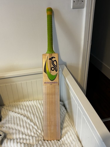 Kookaburra kahuna icon - kahuna,