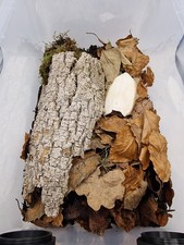 Large Complete Invertebrate