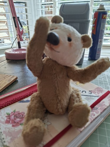 Ooak bear artist - by, taylor