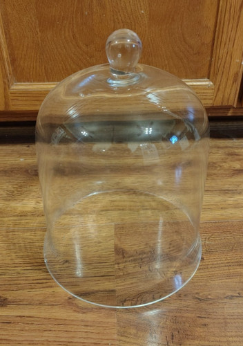 Large clear glass - large, cloche