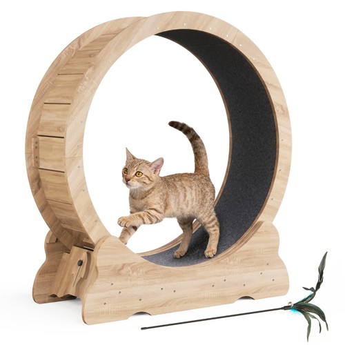 Mondeer cat wheel - cat,