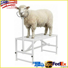 500LBS Livestock Stand Goat