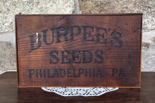 Burpee seeds philadelphia pa - philadelphia,