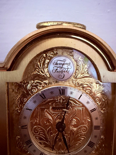 Tempus fugit gold - fugit,