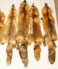Red Fox, ideal for sewing