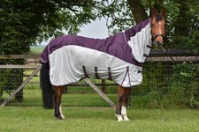 Horse Fly Rug With Neck Combo